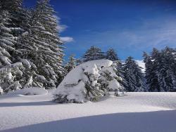images/Freizeit/Winterparadies/Winter4.jpg