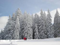 images/Freizeit/Winterparadies/winterlandschaft-hemmersuppenalm-kleiner-e811667802.jpg